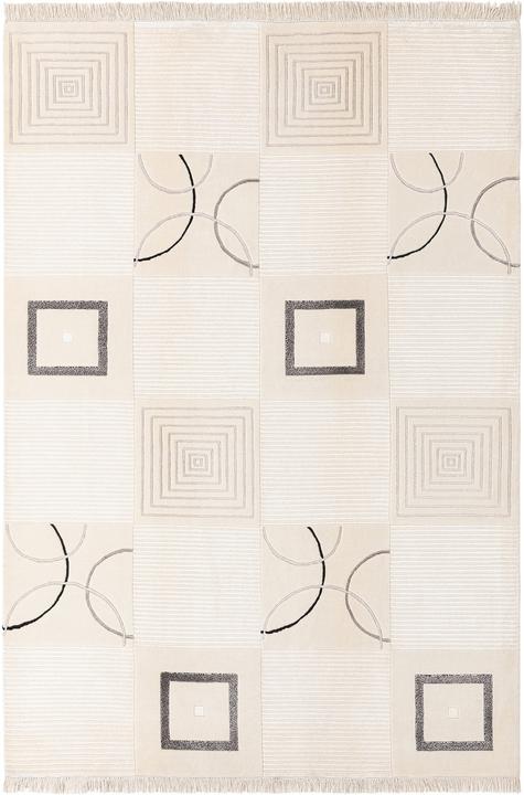 Image du produit Vidal Darya-Indian (170 x 251 cm)