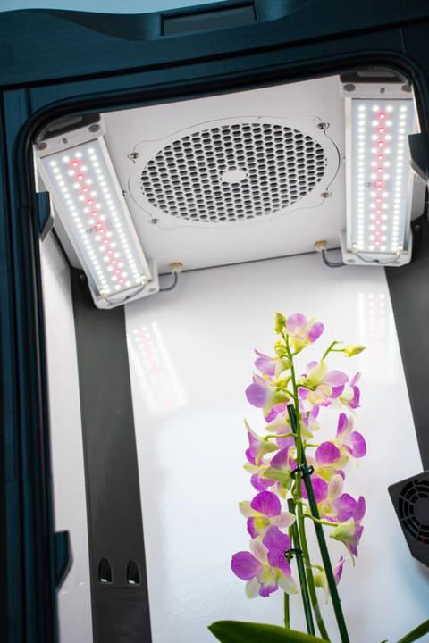 Produktbild Danf Box - Xtension ready