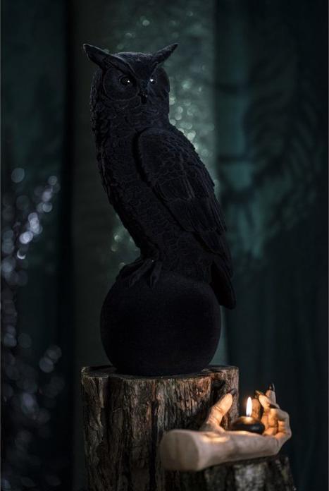 Produktbild Chaks Eule auf Stein