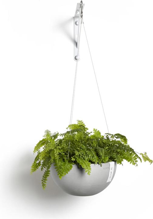 Immagine prodotto Ecopots Hanging Brussels (27 cm)
