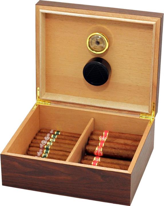 Freeline Humidor (25)
