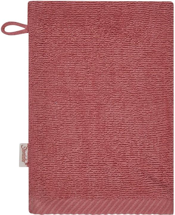 Produktbild Sterntaler Waschlappen Hanni 2er Pack