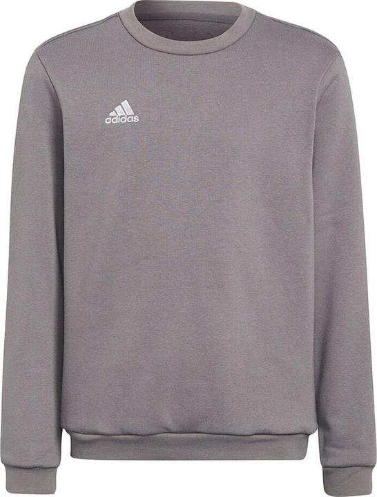 Produktbild Adidas Entrada 22 Sweatshirt (128)