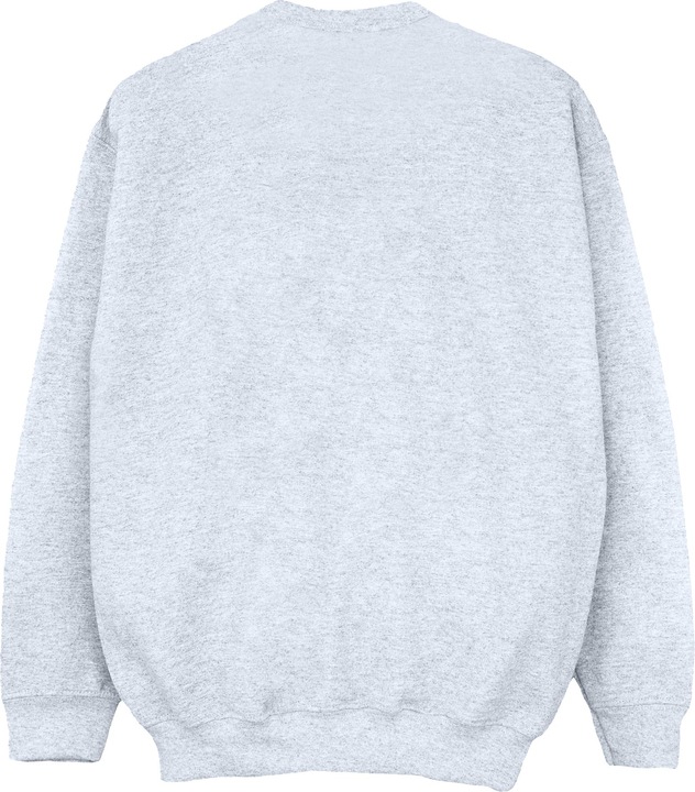 Image du produit Disney - Sweat WINNIE THE POOH TIGGER LINE - Femme (L)
