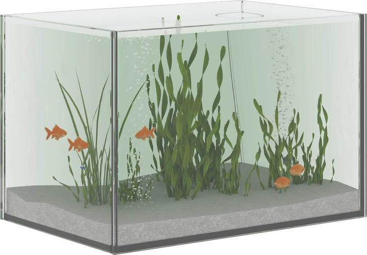 Immagine prodotto vidaXL Glas Aquarium