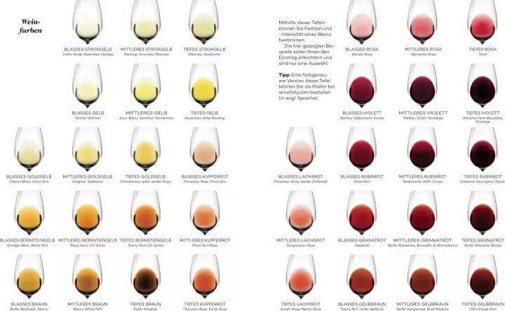 Productafbeelding Der Master Wein-Guide (Duits, Madeline Puckette, 2019)