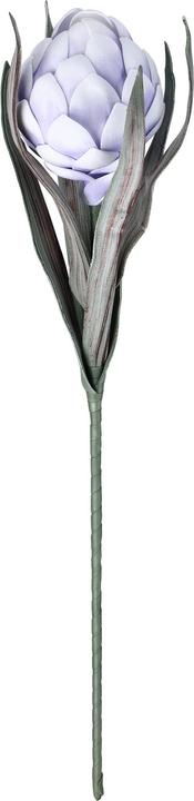 Produktbild EGLO LIVING Molave (15 cm)