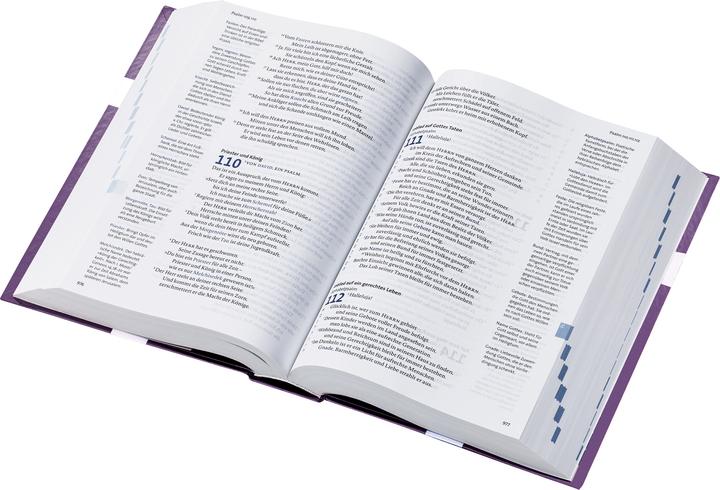 Actual product image BasisBibel. Die Kompakte. Edition 2025 (German, 2024)