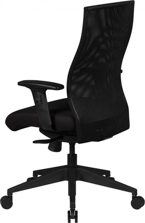 Image du produit Amstyle David (47 - 59 cm)