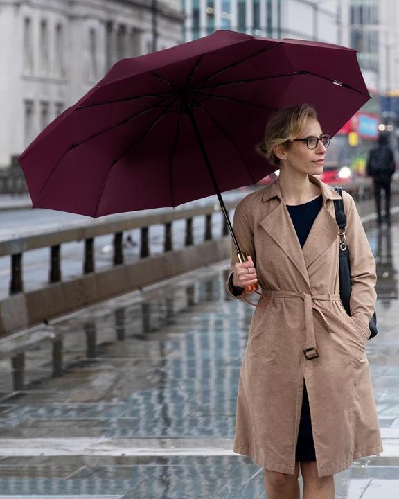 Image du produit Alopini Automatischer grosser sturmsicherer Regenschirm, Taschenschirm mit belüftetem Doppeldach und