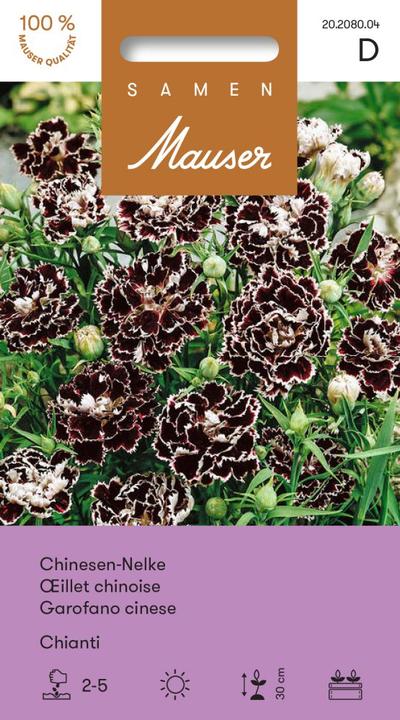 Produktbild Samen Mauser Chinesen Nelke Chianti (Blumensamen)