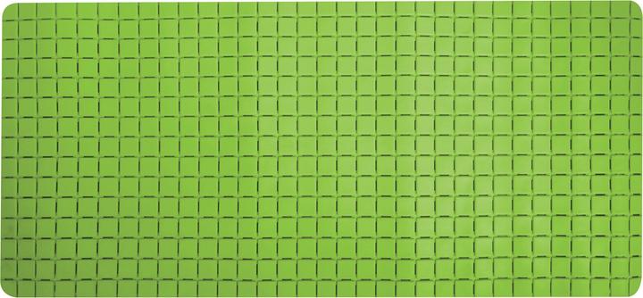 MSV Nicolas (76 x 36 cm)