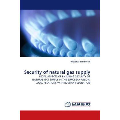 Security of natural gas supply, Fachbücher