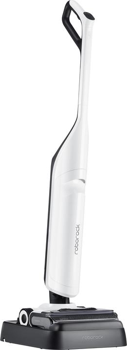 Roborock Flexi Pro