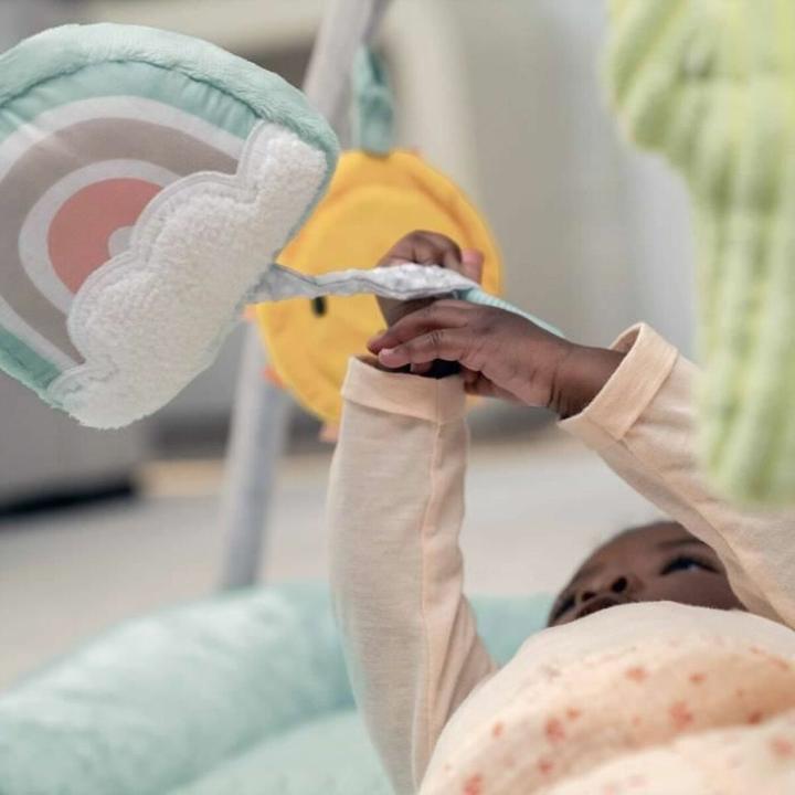 Produktbild Ingenuity Premium Plüsch-Aktivitätsdecke