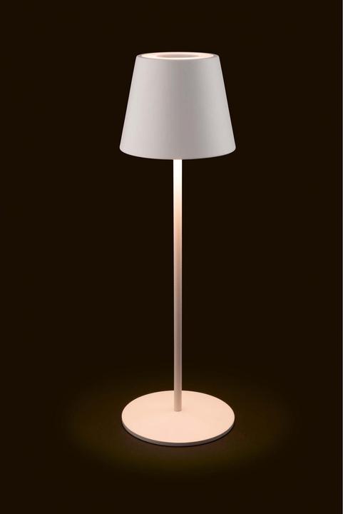 Produktbild STT Luna