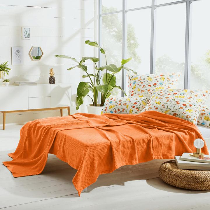Image du produit Erwin Müller Sommer-Decke (220 x 240 cm)
