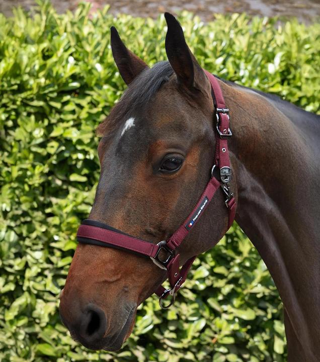 Produktbild Premier Equine Corda