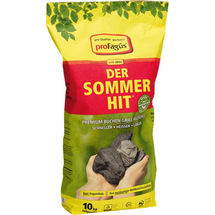 Actual product image ProFagus Holzkohle Sommerhit 10 kg (10 kg)