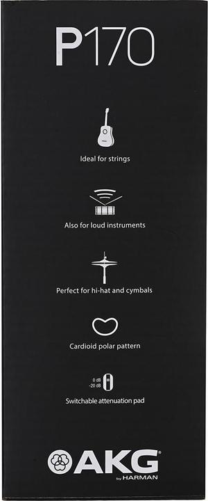 Produktbild AKG Pro P170