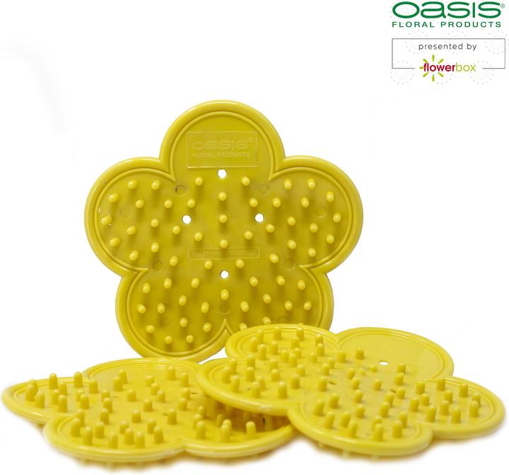 Image du produit Oasis Élimination des feuilles et des épines