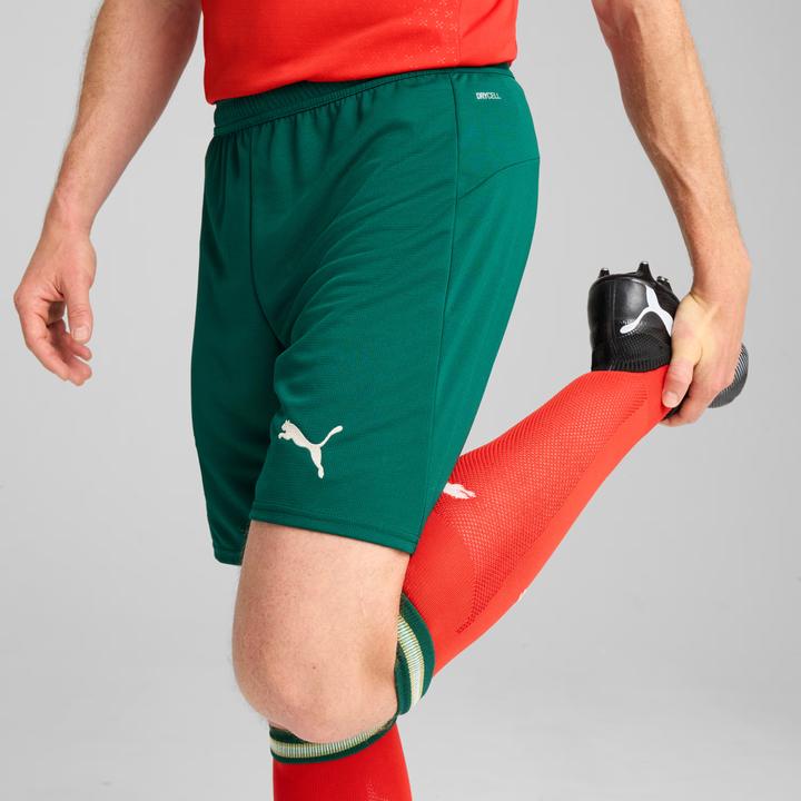 Actual product image Puma FPF Shorts Replica (XS)