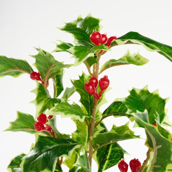 Produktbild DPI Ilex Zweig mit Beeren, L 40 cm