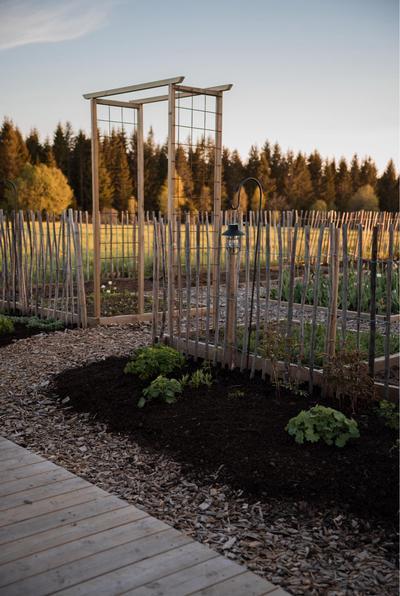 Actual product image Star Trading Candlestick SKOG (1x)