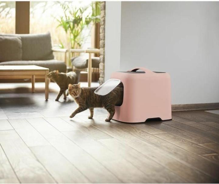 Actual product image Rotho Katzentoilette (Cat litter tray open)