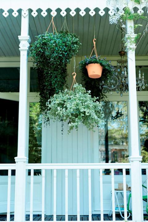 Image du produit Elho Green Basics suspensions (29 x 15.90 cm)