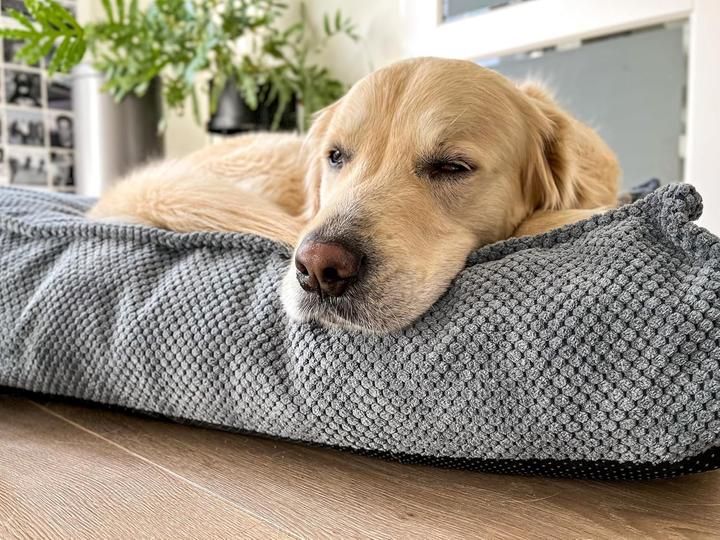 Actual product image Flamingo Reno Rectangular Dog Bed (Dog)