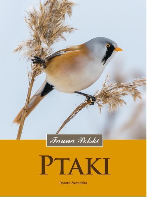 Immagine prodotto Multicomp Uccelli. La fauna polacca (21 cm)