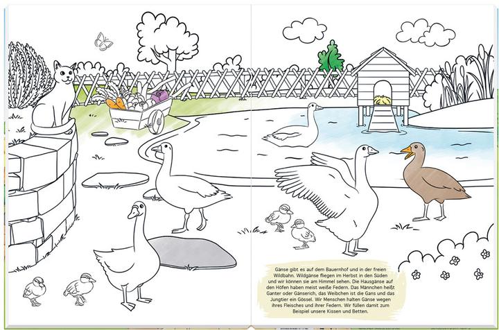 Produktbild Bauernhof - Mal- und Spielspass (mit Traktor)