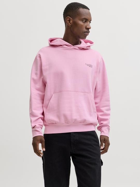 Produktbild Jack & Jones Kapuzenpullover Kapuzenpullover (XXL)