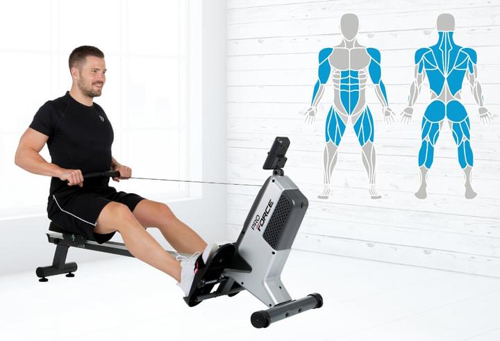 Actual product image Hammer Fitness Pro Force