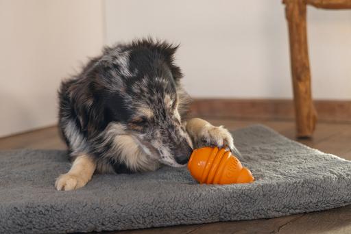 Image du produit Beeztees Sumo Play (Jouet à mâcher pour chien)