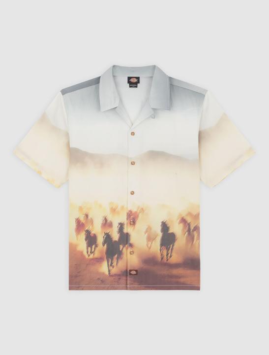 Produktbild Dickies Running Wild Shirt SS (XL)