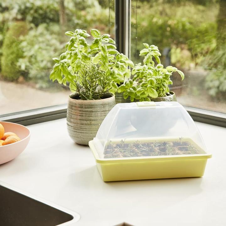 Productafbeelding Siena Garden Binnenkas