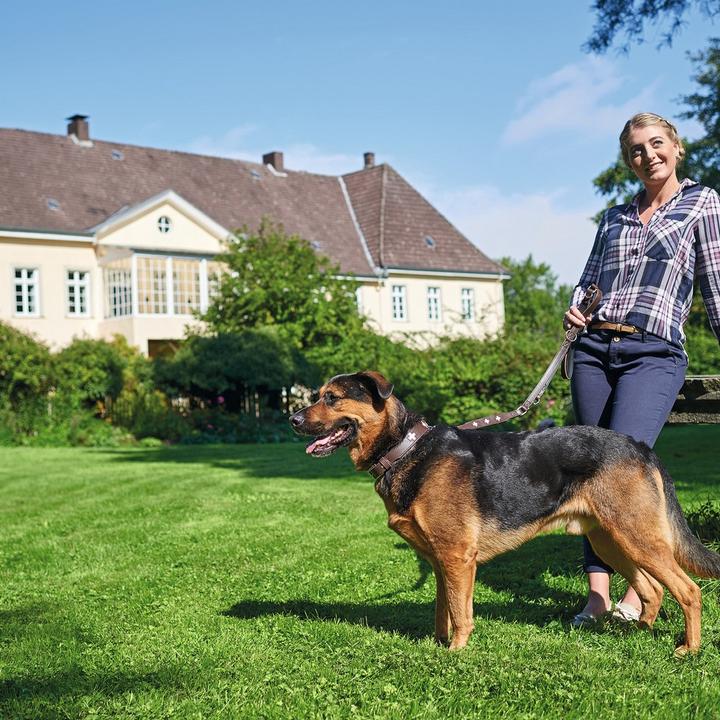 Image du produit Hunter Collier Swiss en cuir véritable (Chien)