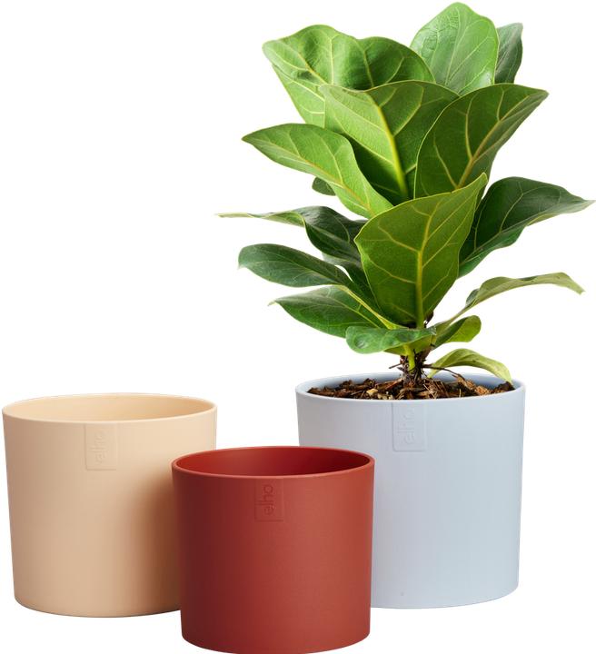 Produktbild Elho Lex Pott Set (15 x 12.40 cm)