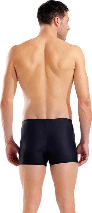 Image du produit Arena M Neo Stream Swim Short (10)
