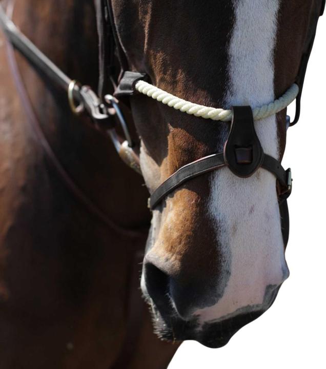 Image du produit - Muserolle pour chevaux RNB