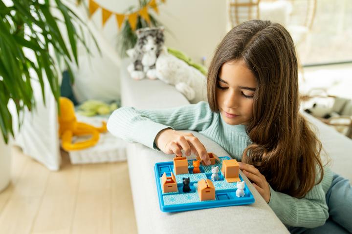 Produktbild Smart Games Cats Boxes (Deutsch, Französisch, Englisch, Italienisch)