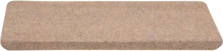 Immagine prodotto vidaXL Stufenmatte (65 x 24.50 cm)