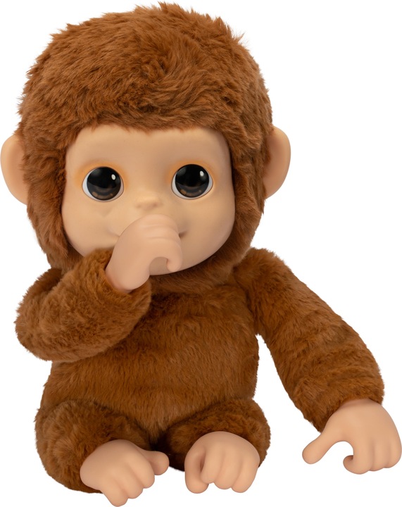 Actual product image Little Baby Monkey Live Pets (30 cm)