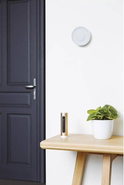 Actual product image Netatmo Siren NIS01-EN