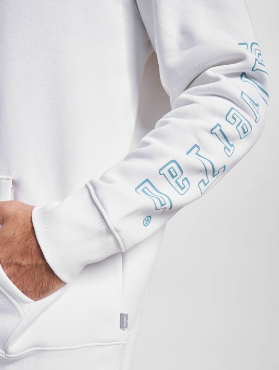 Image du produit Levis Sweat à capuche graphique standard - 86895 (XXL)