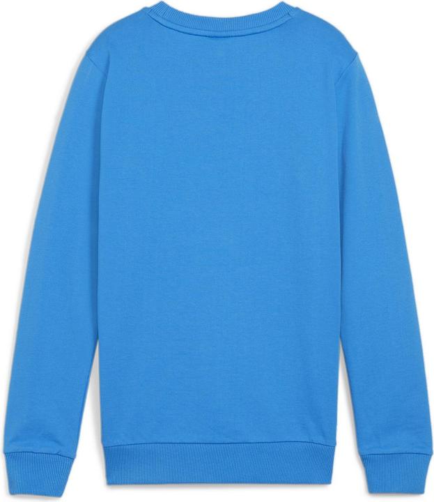 Actual product image Puma teamGOAL Casuals Crew Neck Sweat Jr (128)