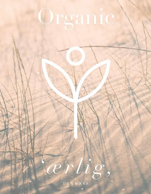 Actual product image Aerlig Eau de Parfum P06 (Eau de parfum, 100 ml)