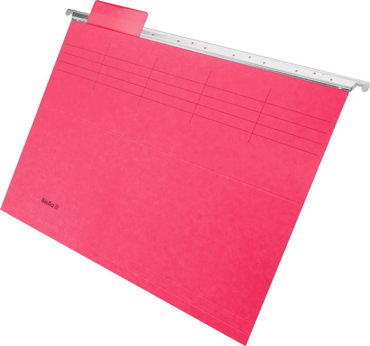 Actual product image Biella Suspension file set Original (A4, 5 x)